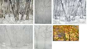 They show you the way the skeletons of the trees fingers ending...extract from Watchmen melancholy Guillaume Apollinaire